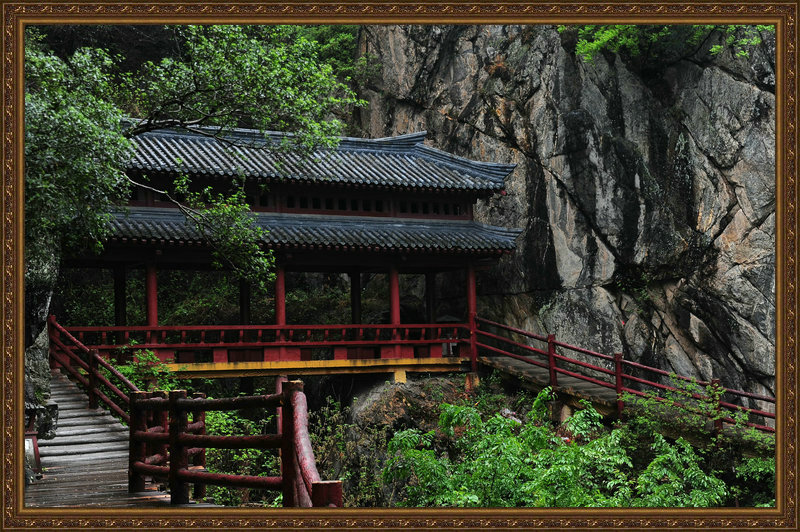 DSC_6770_副本.jpg