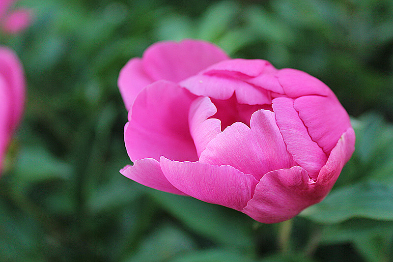 IMG_4706_副本.jpg