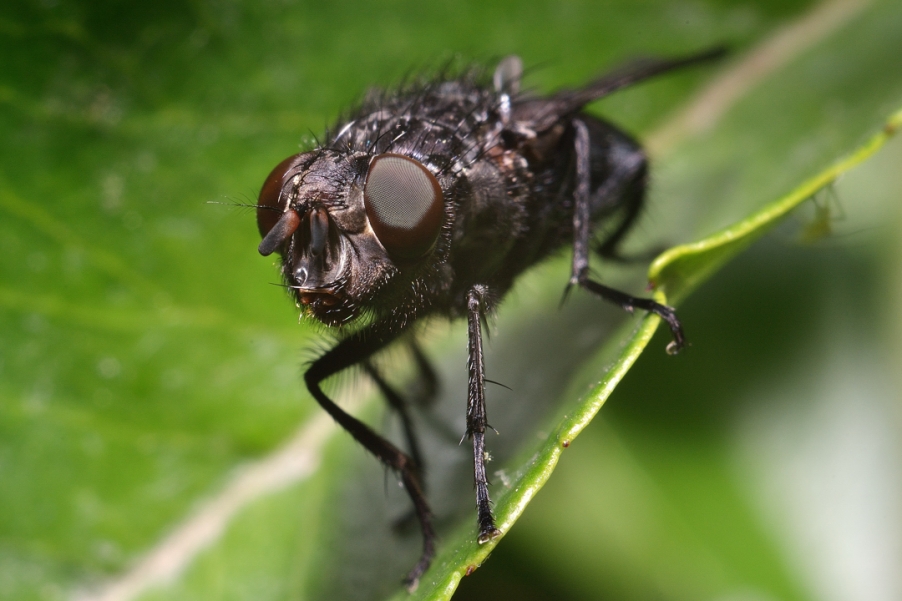 DSC_5722.jpg