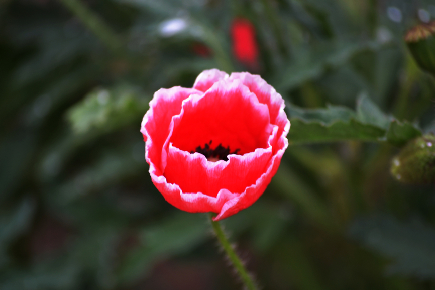 DSC_0001.jpg