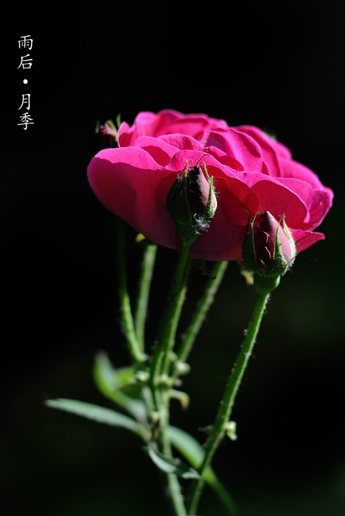 DSC_6046_副.jpg