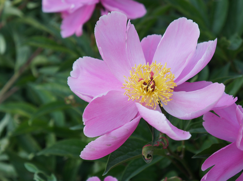 DSC00022_副本.jpg