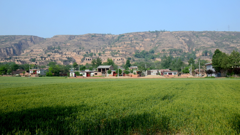 DSC_3146.JPG