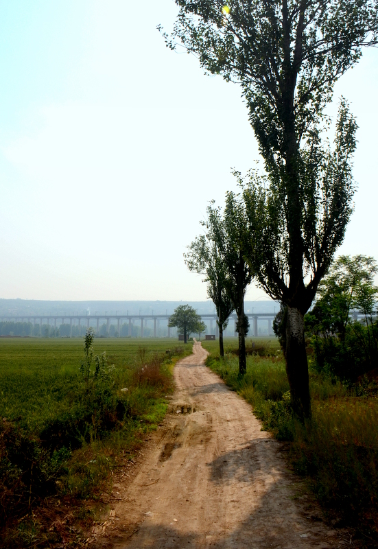 DSC_3152.JPG