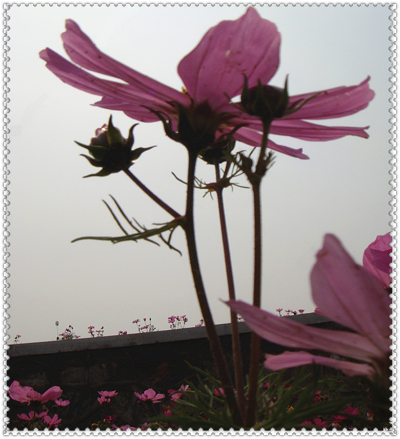 DSC05576_副本.jpg