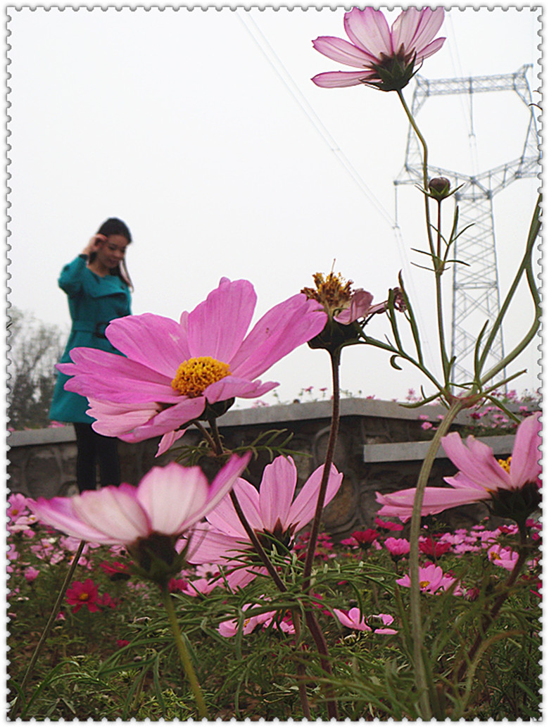 DSC05152_副本.jpg