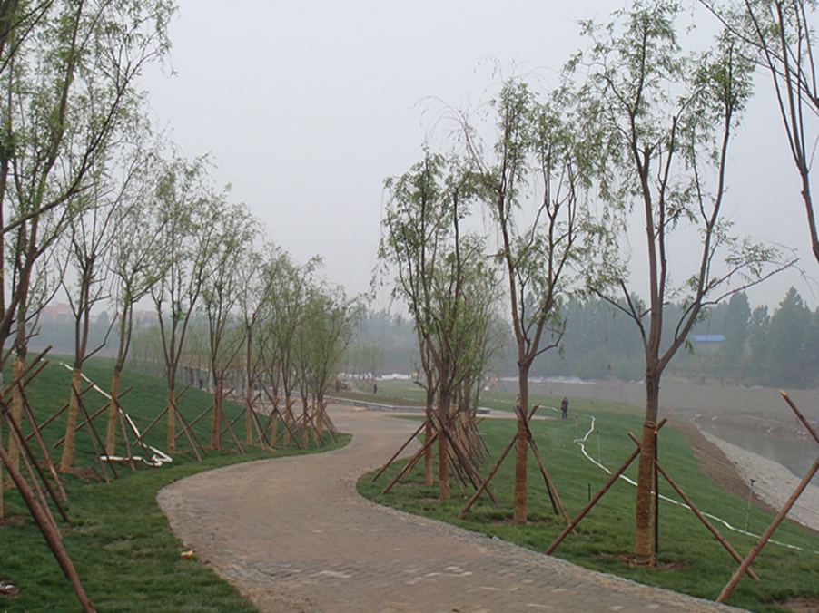 DSC05150_副本.jpg