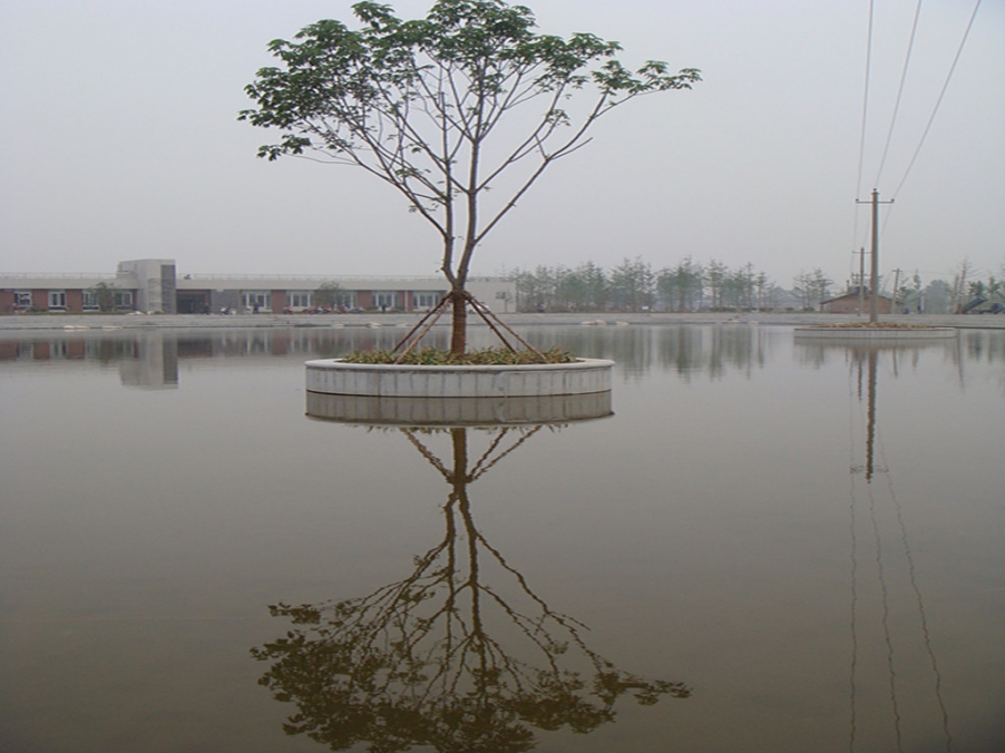 DSC05117_副本.jpg