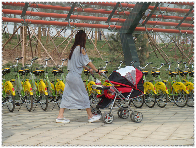 DSC05609_副本.jpg