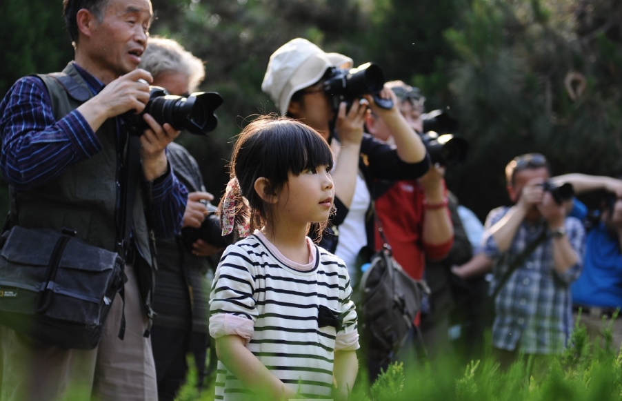 QQ截图20130502103610.jpg