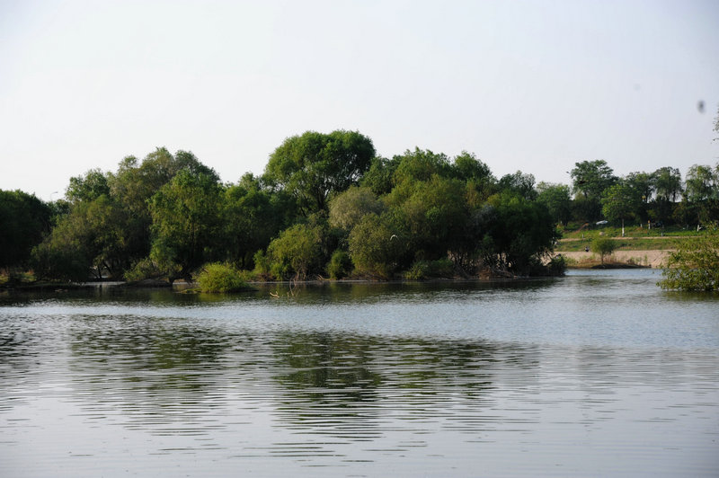DSC_7318_HZP.jpg