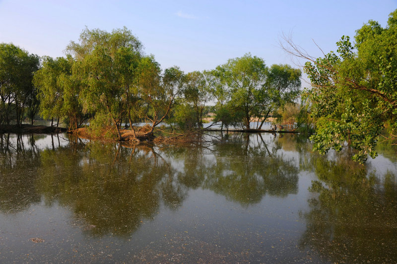 DSC_7320_HZP.jpg