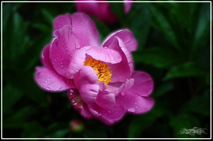 DSC_0006.JPG