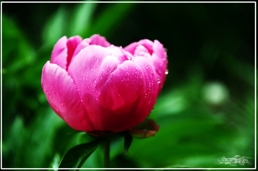 DSC_0017.JPG