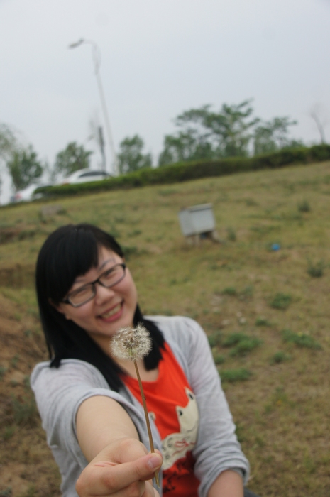 发现蒲公英.jpg