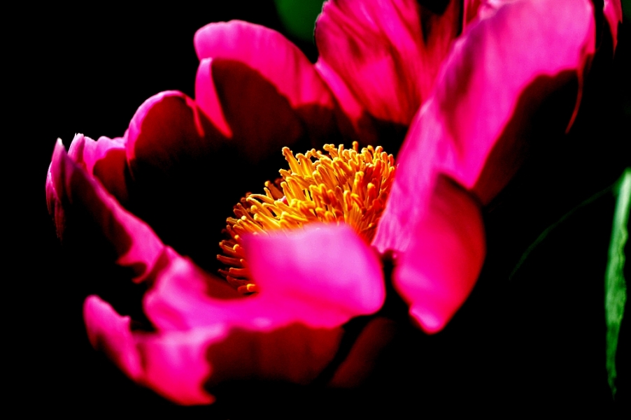 IMG_9603_.jpg