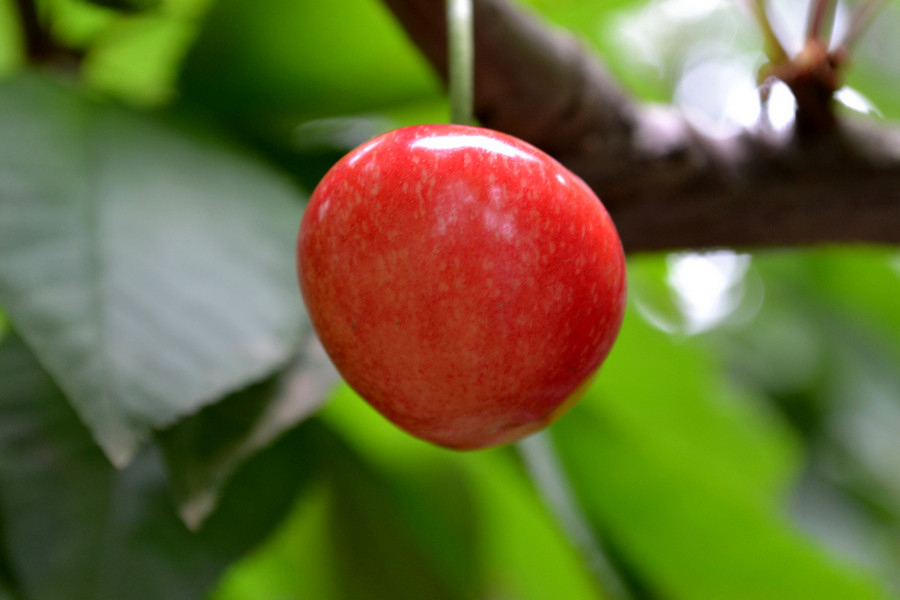 DSC_1111_副本.jpg