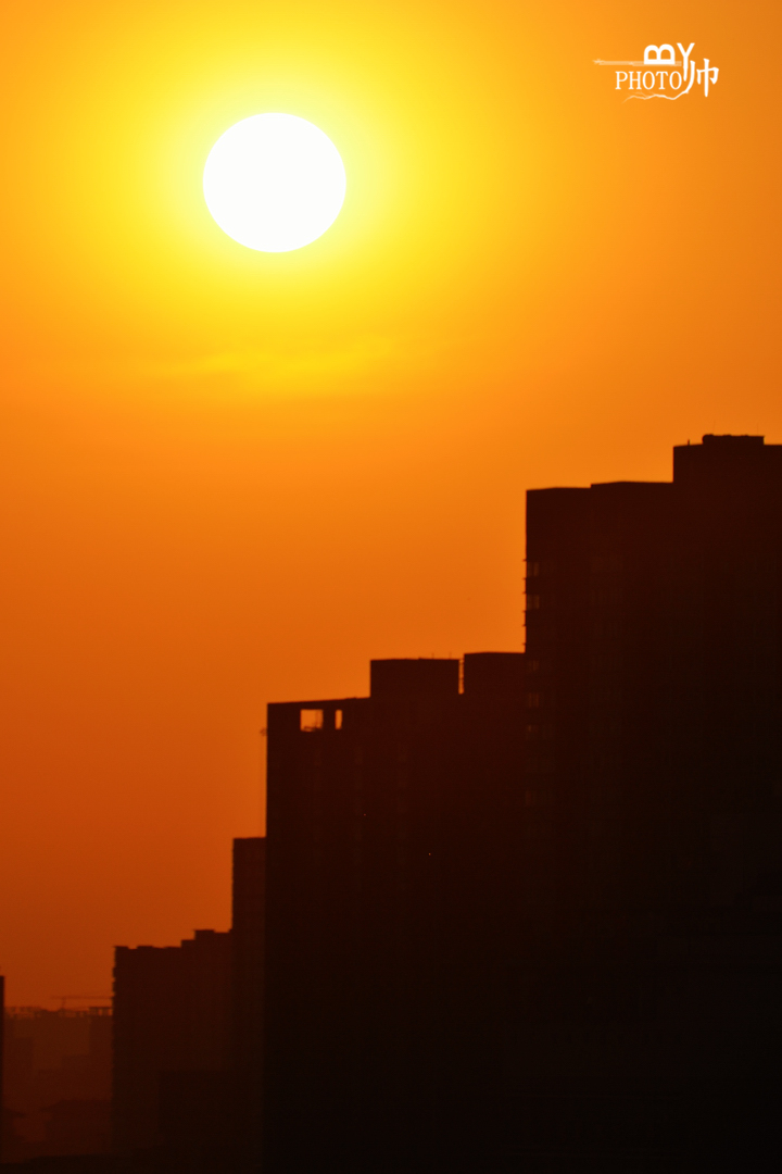 DSC_6529_副本.jpg