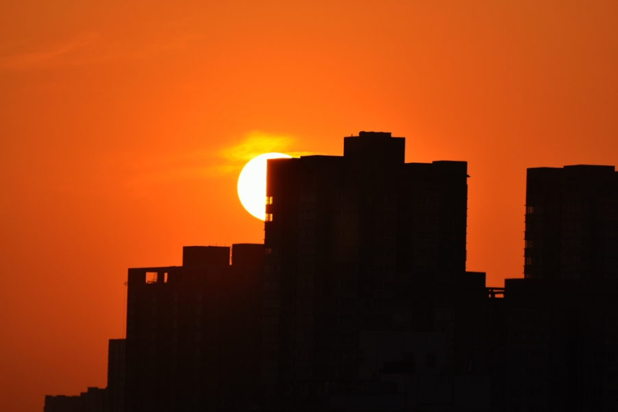 DSC_6556.jpg