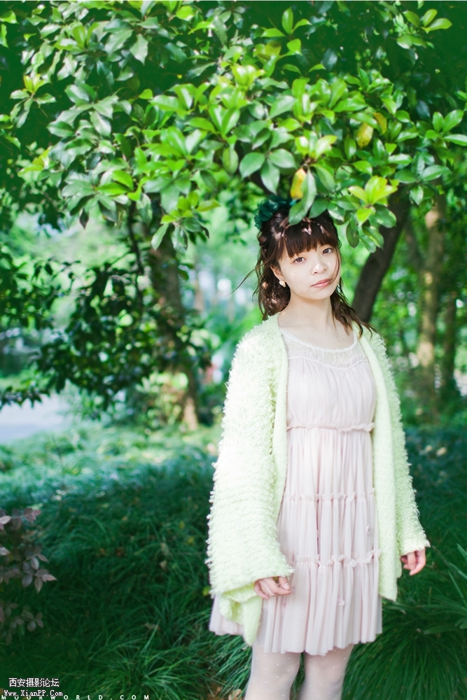 2013042704.jpg