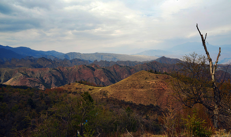 DSC_1313.jpg
