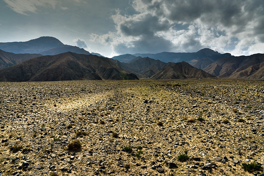 DSC_1222.jpg