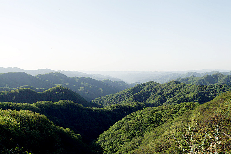 黄龙 104_副本2.jpg