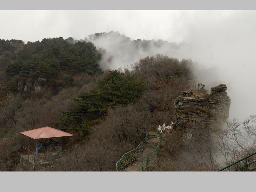 王莽岭3.jpg