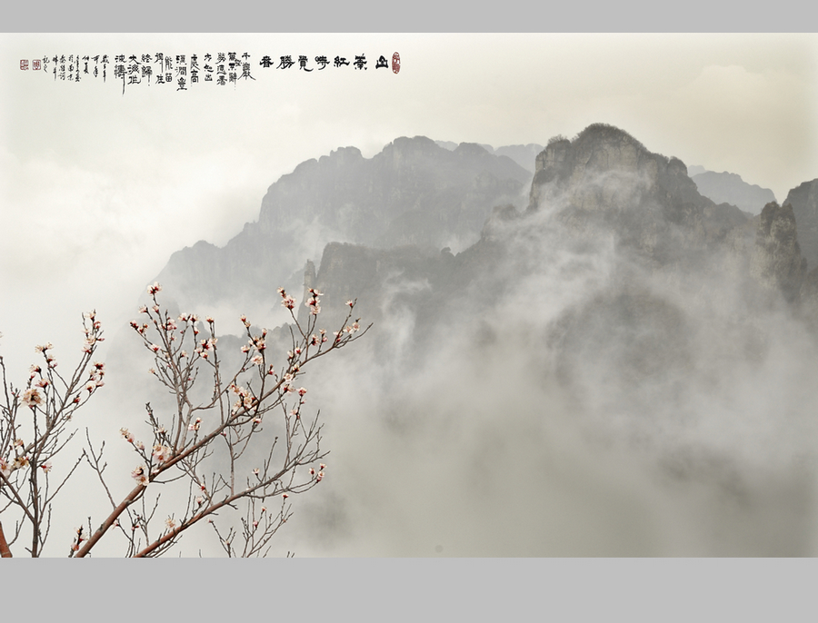 王莽岭5.jpg