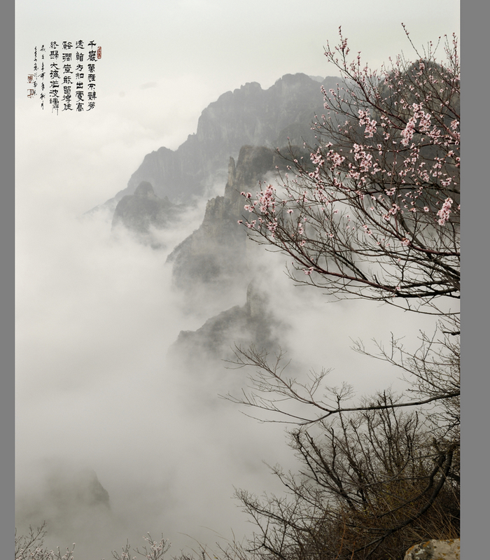 王莽岭6.jpg