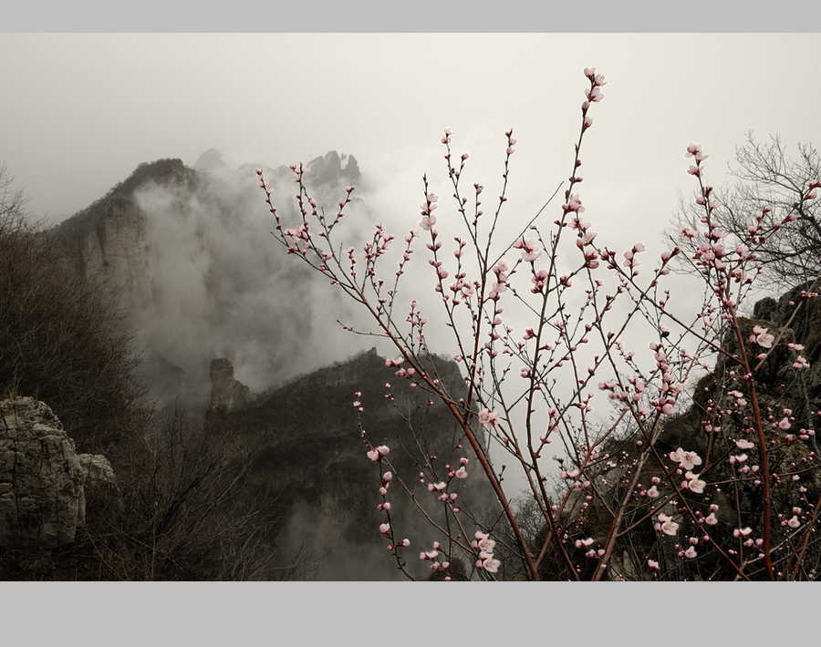 王莽岭11.jpg