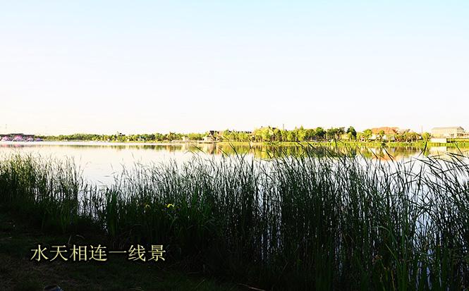DSC_0888.jpg