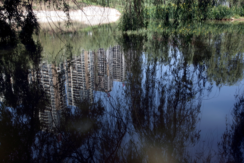 DPP_0015.JPG