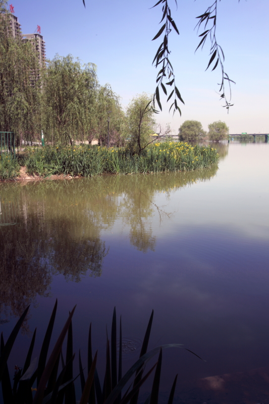 DPP_0017.JPG
