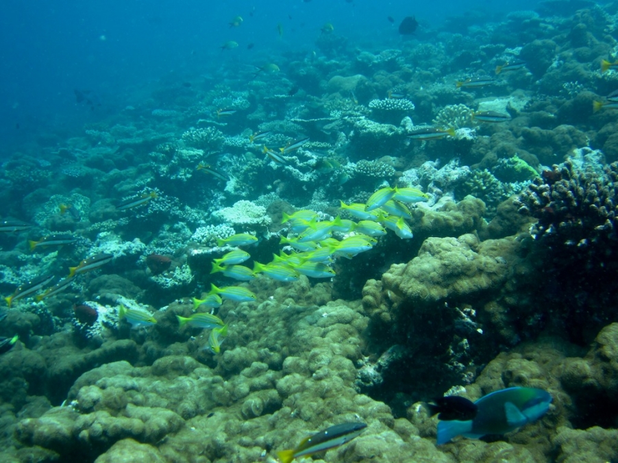 IMG_2668.JPG