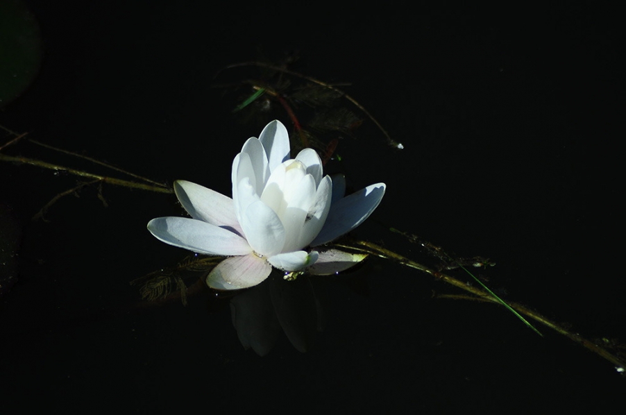 DSC_0774_副本.jpg