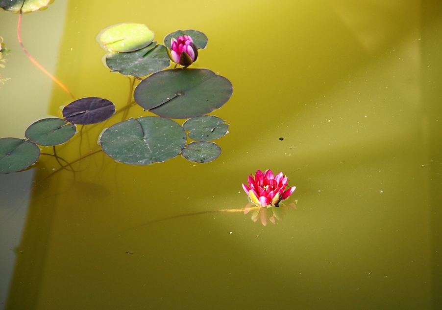 DSC_0764_副本.jpg