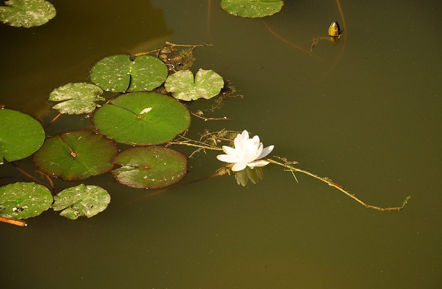 DSC_0760_副本.jpg