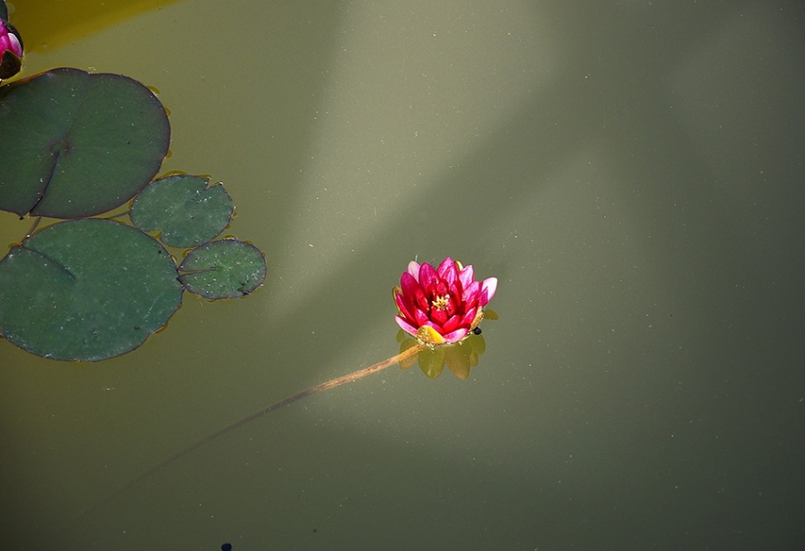 DSC_0759_副本.jpg