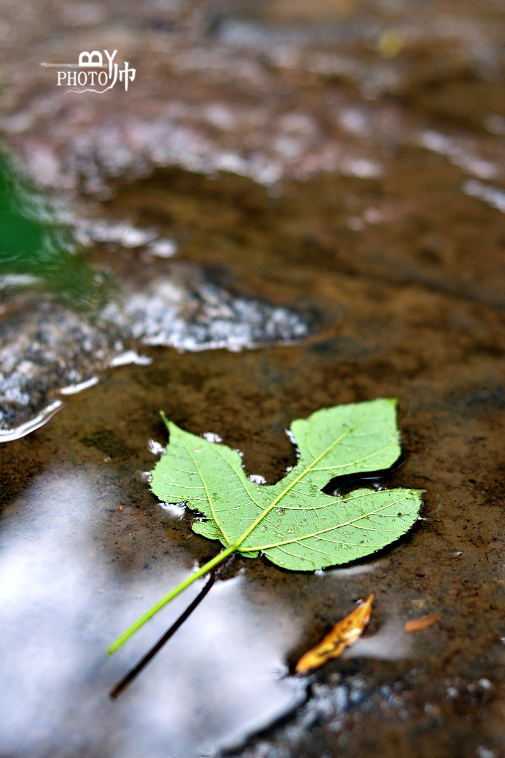 DSC_6784_副本.jpg