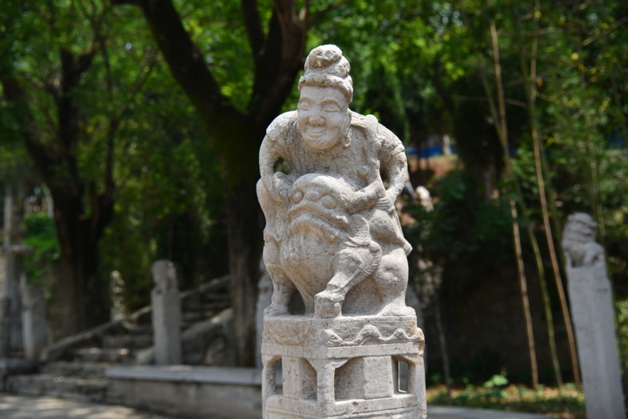 DSC_2364.JPG