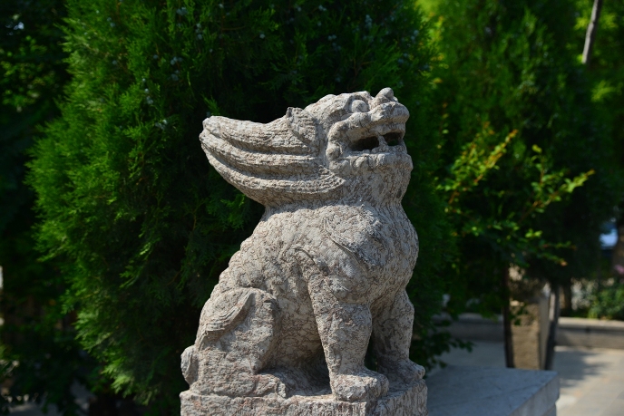 DSC_2443.JPG