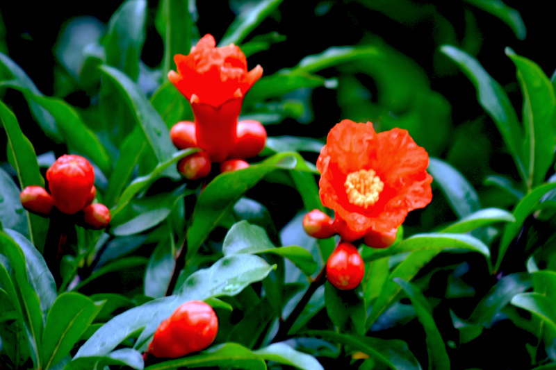 G_4665.jpg