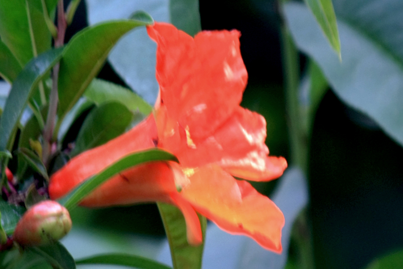 4643.jpg
