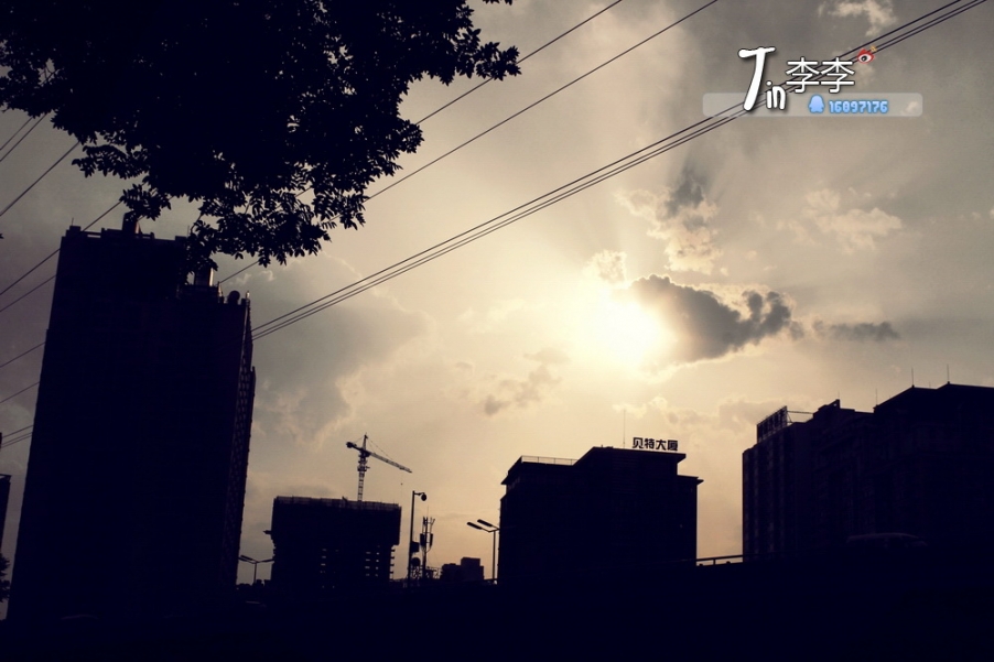近夕阳.jpg