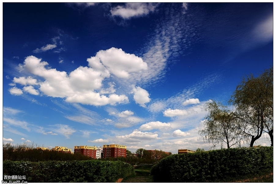 a21931052_01000.jpg