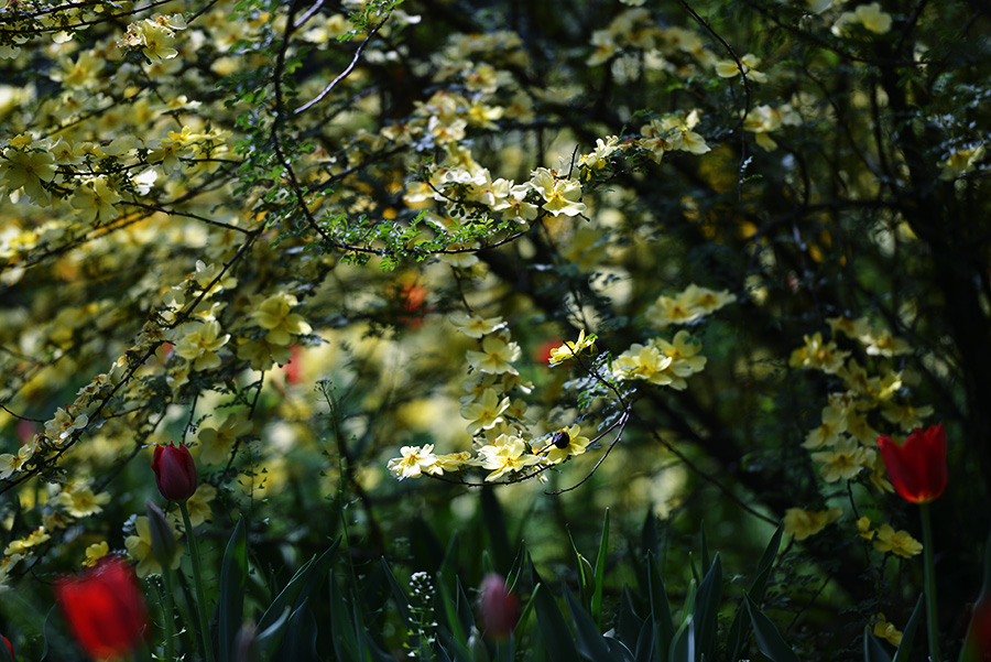 DSC_0690.jpg