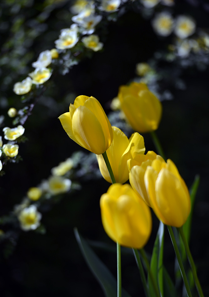 DSC_0678.jpg