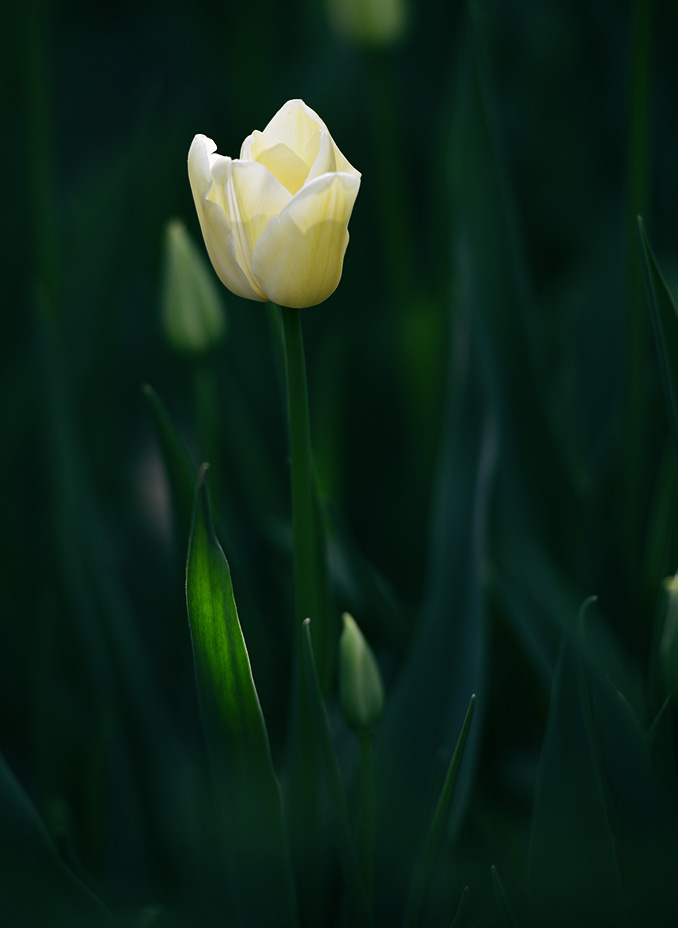 DSC_0669.jpg
