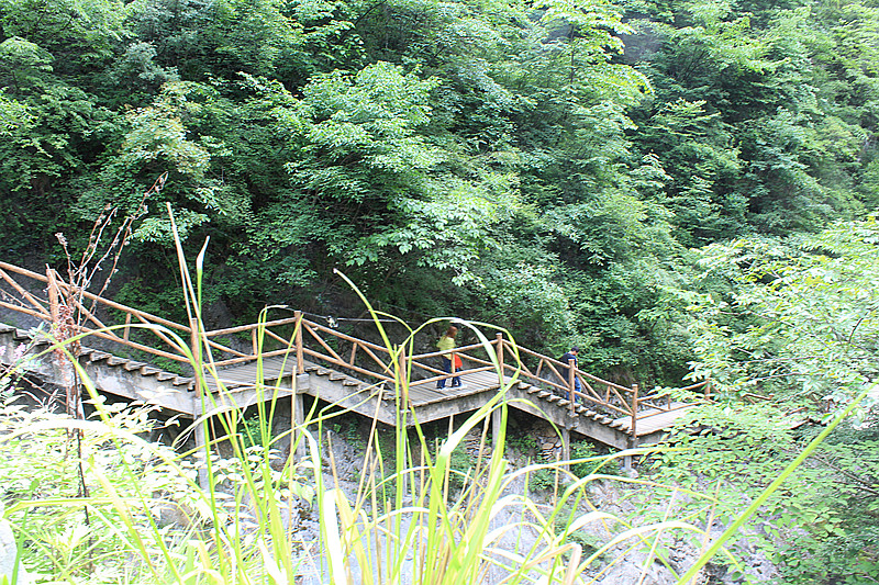 IMG_6390_副本.jpg